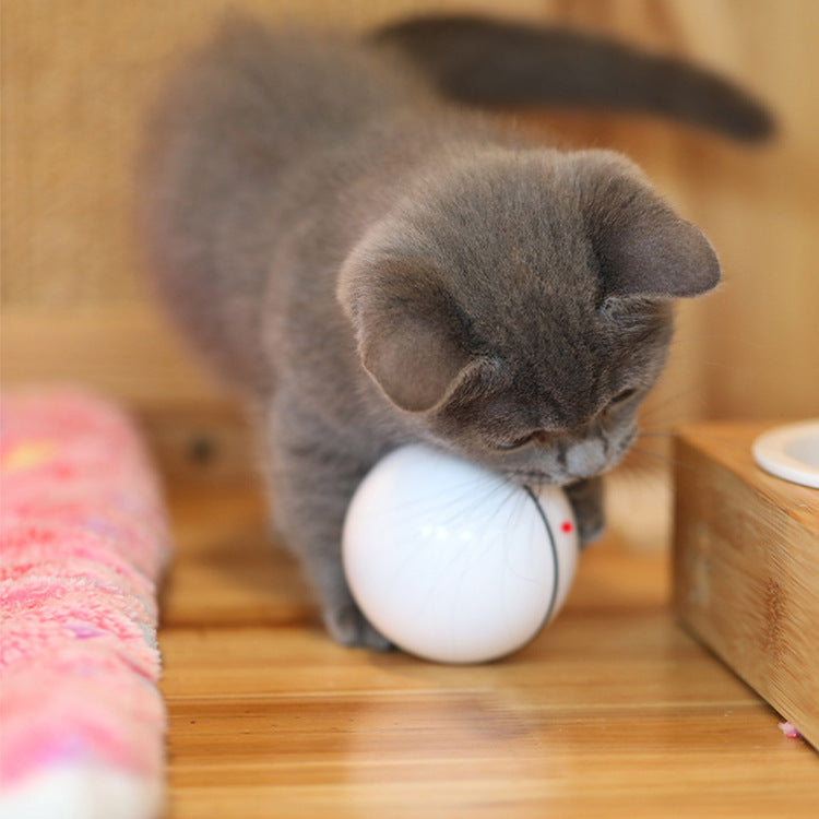 ✨ Luz Mágica USB para Gatos 🐾
